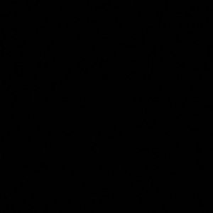 Meet your Posher, Jerry